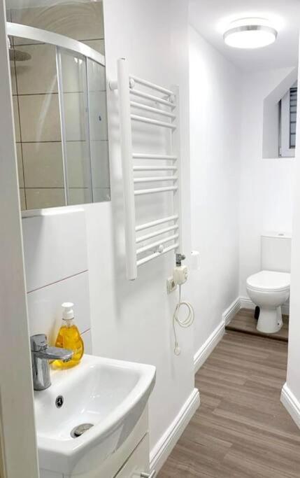 Central Studio Flat Bucureşti Exterior foto