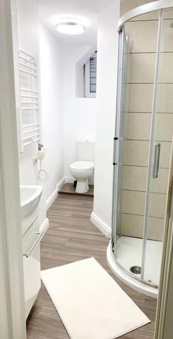 Central Studio Flat Bucureşti Exterior foto